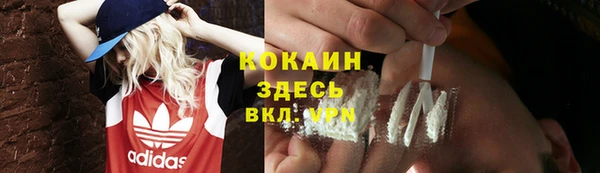 PSILOCYBIN Аркадак