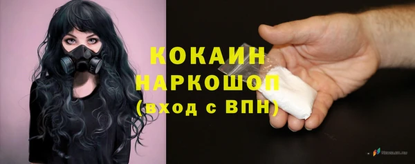 PSILOCYBIN Аркадак